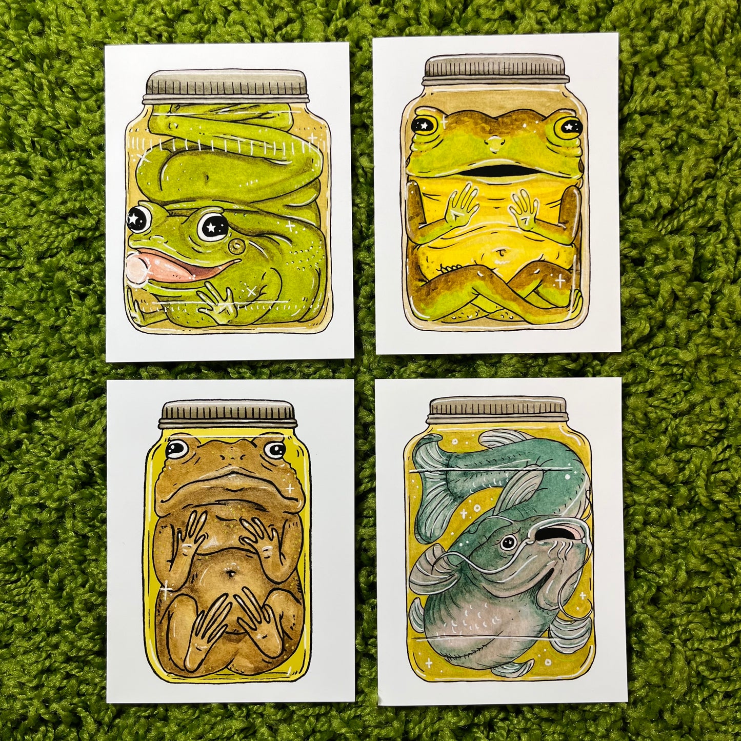 Swamp Greetings - Set of 4 Cards