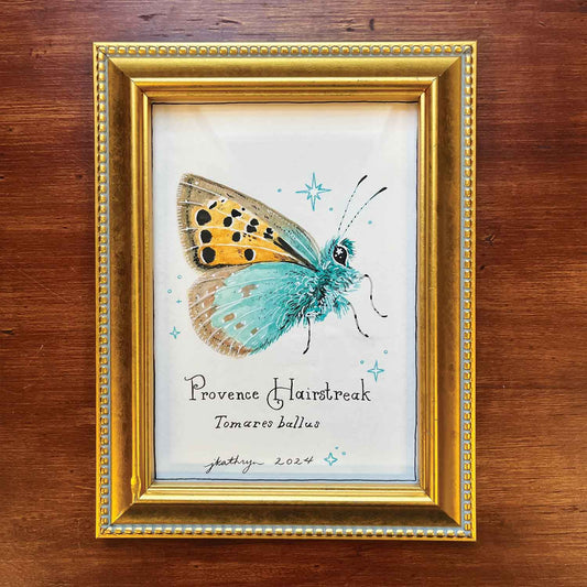 Provence Hairstreak Butterfly - Original Painting